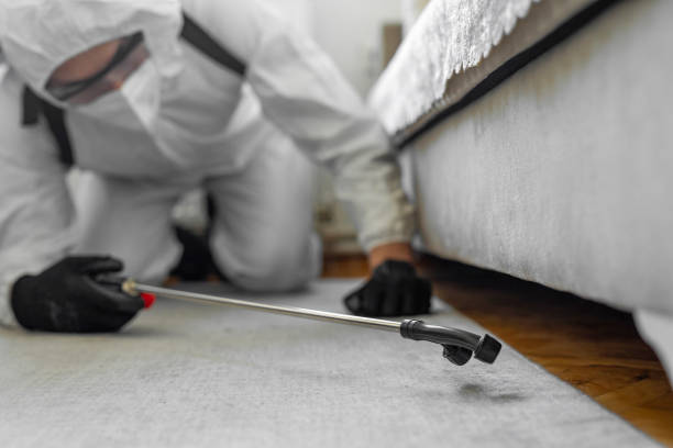 Professional Cockroach Control technician working in Lake County County, CO